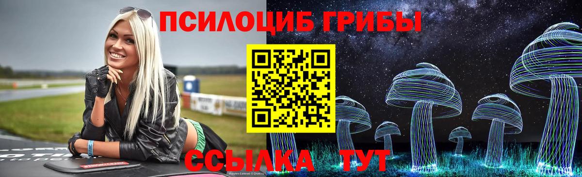 Галлюциногенные грибы Psilocybe Ижевск