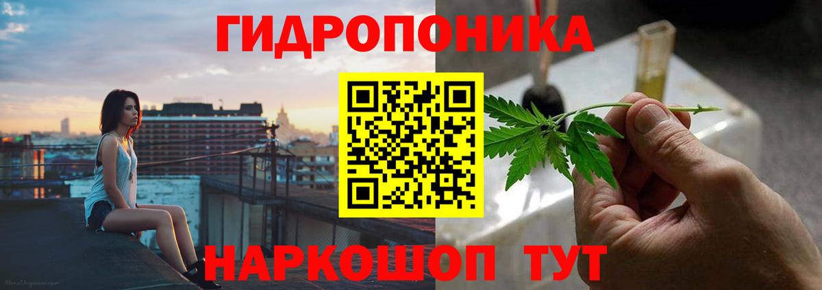 Шишки марихуана марихуана Ижевск